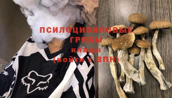 ешки Алексин
