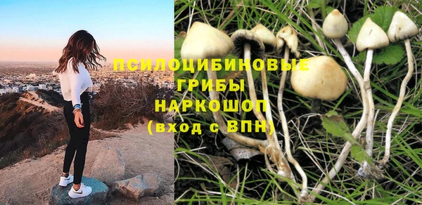 спиды Алексеевка